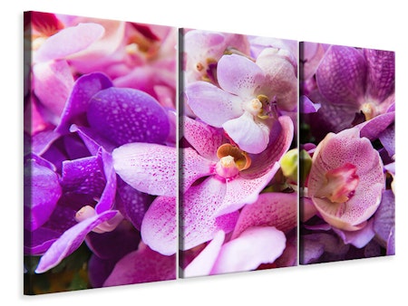 Ljuddämpande tavla -  Orchid Paradise