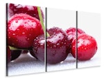 Ljuddämpande tavla -  Cherries