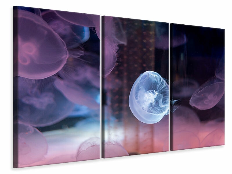 Ljuddämpande tavla -  The Beauty Of Jellyfish