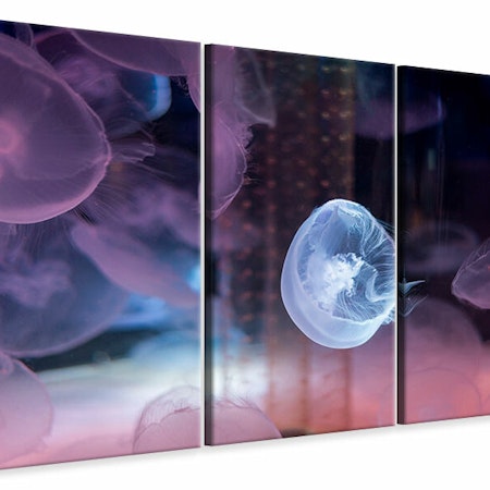 Ljuddämpande tavla -  The Beauty Of Jellyfish