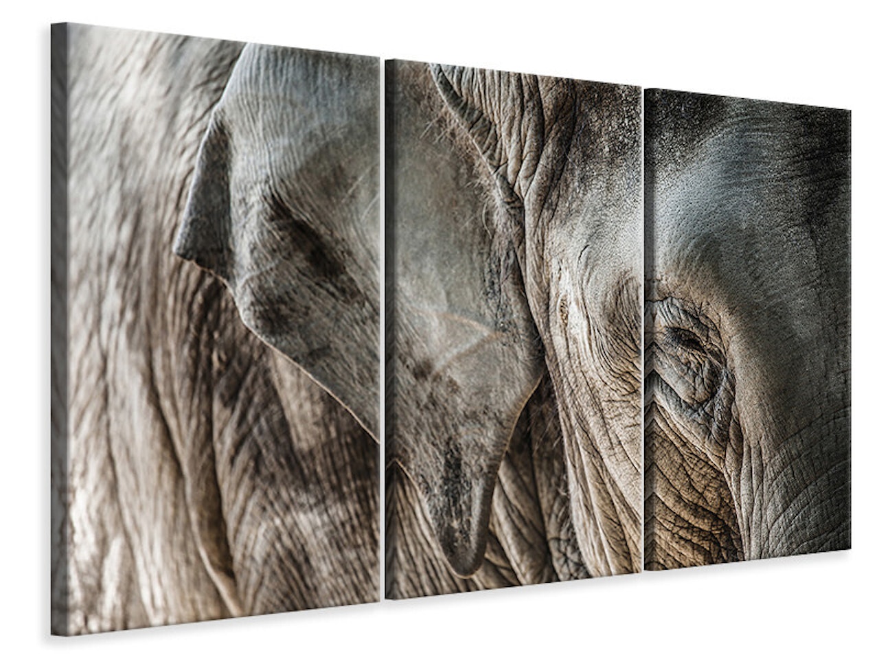 Ljuddämpande tavla -  Close Up Elephant