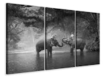Ljuddämpande tavla -  Two Elephants