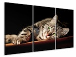 Ljuddämpande tavla -  Relaxed Cat