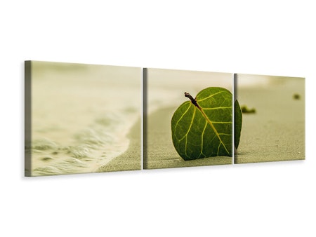 Ljuddämpande tavla -  Beach leaf