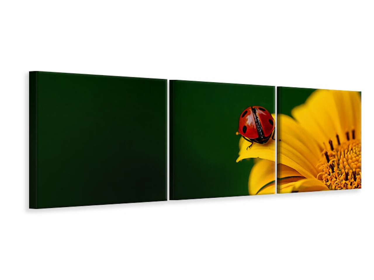 Ljuddämpande tavla -  Ladybug on the sunflower