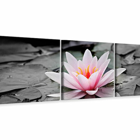 Ljuddämpande tavla -  The art of water lily