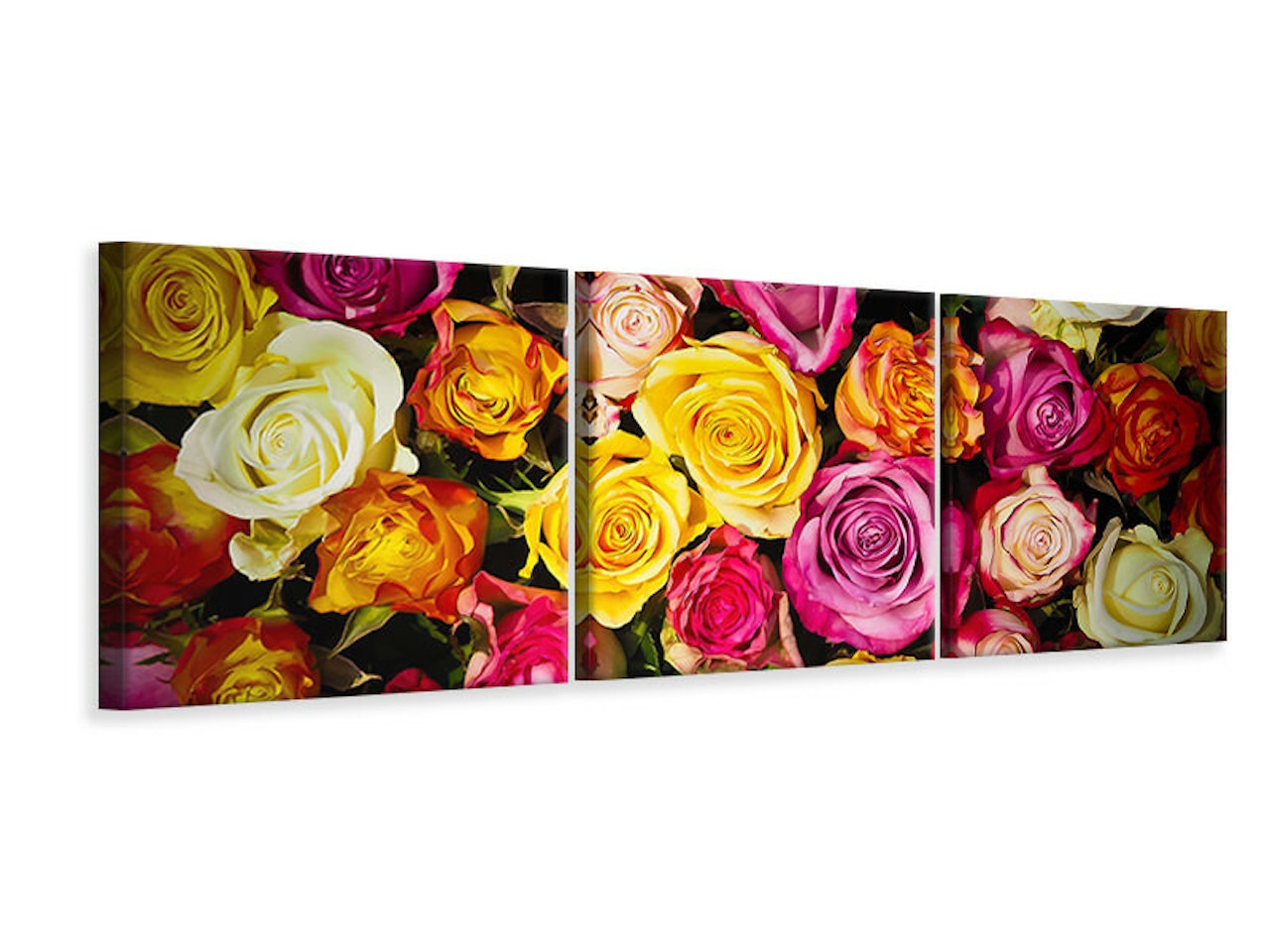 Ljuddämpande tavla -  Many colorful rose petals