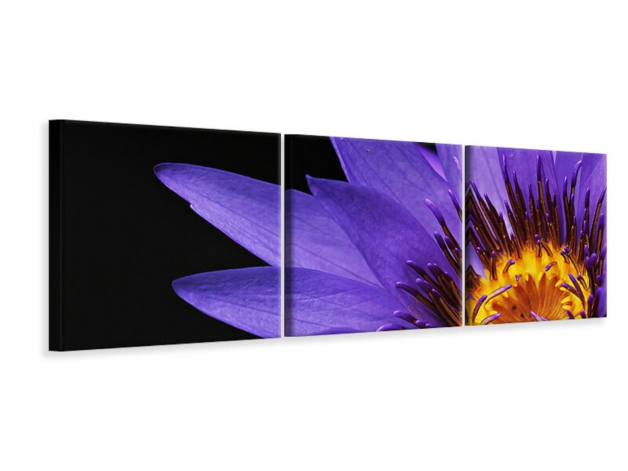 Ljuddämpande tavla -  XL water lily in purple