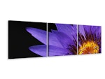 Ljuddämpande tavla -  XL water lily in purple