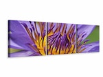 Ljuddämpande tavla -  XXL water lily in purple