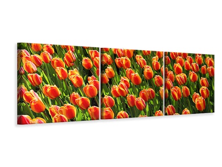 Ljuddämpande tavla -  Tulip field in orange