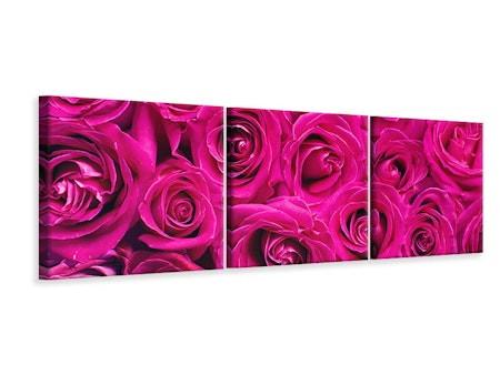 Ljuddämpande tavla -  Rose petals in pink