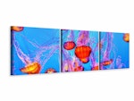 Ljuddämpande tavla -  Colorful jellyfish