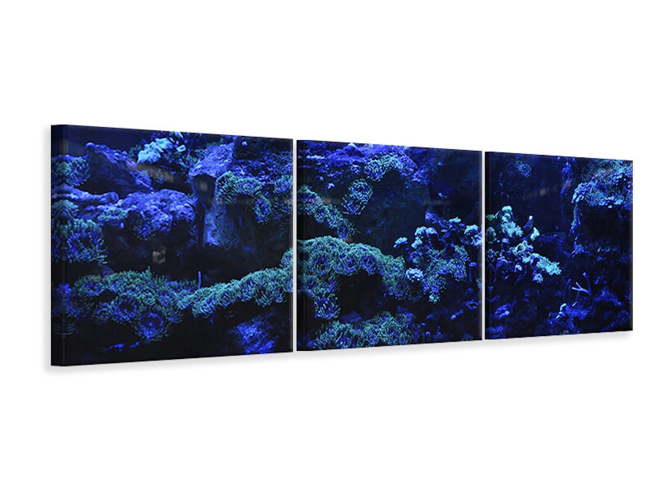 Ljuddämpande tavla -  Coral reef in blue