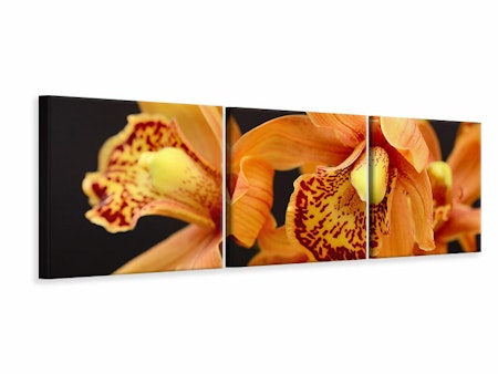 Ljuddämpande tavla -  Orchids with orange flowers