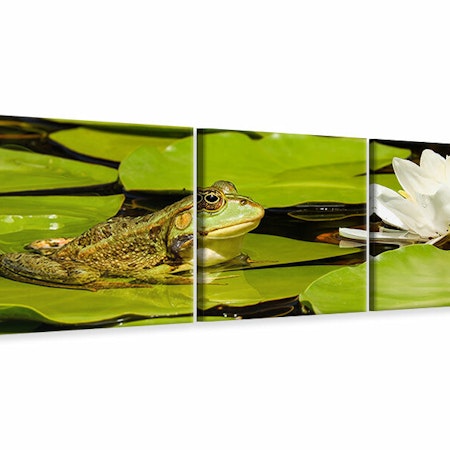 Ljuddämpande tavla -  The frog and the water lily