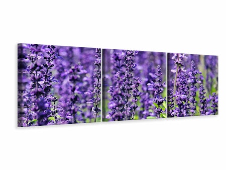 Ljuddämpande tavla -  XL lavender