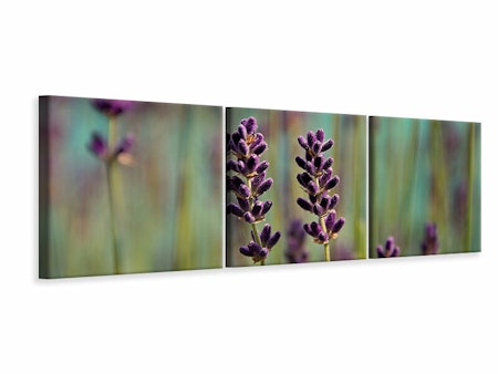 Ljuddämpande tavla -  Lavender in XL