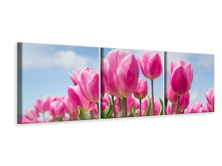 Ljuddämpande tavla -  Tulip field in pink