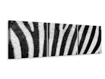 Ljuddämpande tavla -  Strip of the zebra