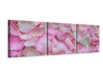 Ljuddämpande tavla -  Rose petals in pink 2