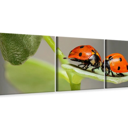 Ljuddämpande tavla -  2 ladybirds
