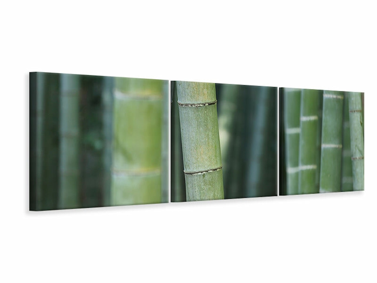 Ljuddämpande tavla -  Bamboo in XXL
