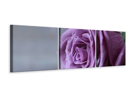 Ljuddämpande tavla -  Rose in purple XXL