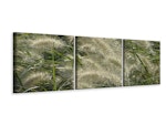 Ljuddämpande tavla -  Ornamental grass in the wind