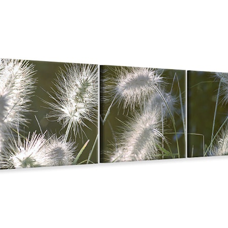 Ljuddämpande tavla -  Ornamental grasses in XL