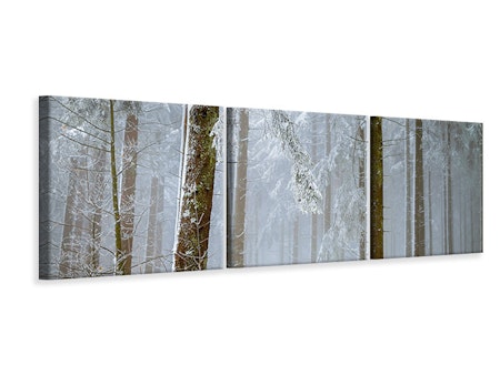 Ljuddämpande tavla -  Forest in winter