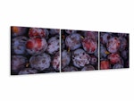 Ljuddämpande tavla -  Fresh plums