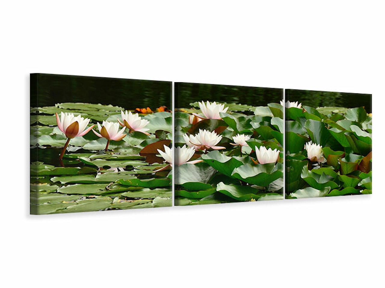 Ljuddämpande tavla - A field full of water lilies