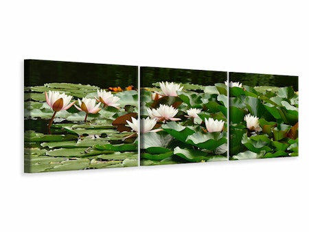 Ljuddämpande tavla - A field full of water lilies