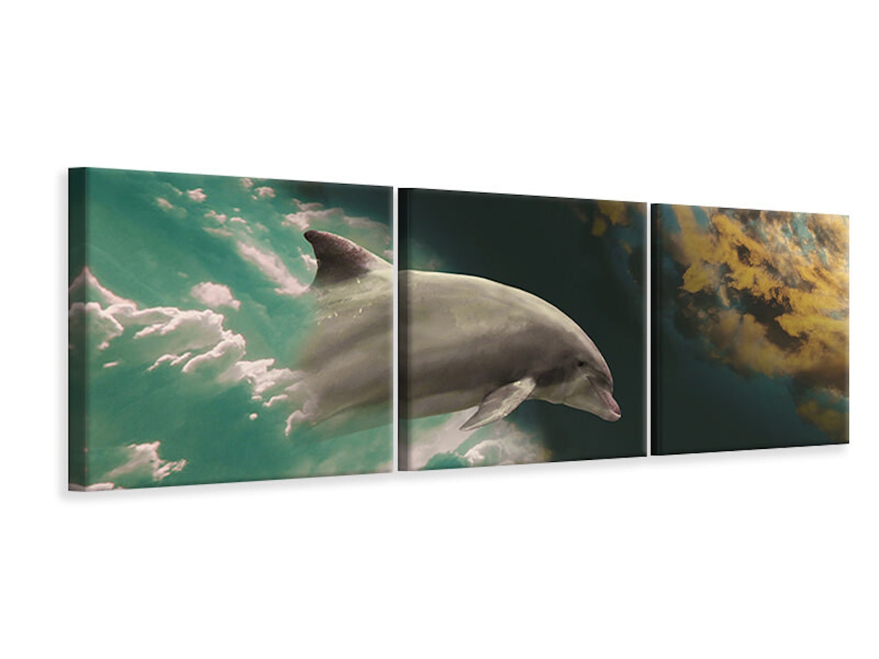 Ljuddämpande tavla - Fascination dolphin
