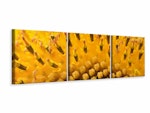 Ljuddämpande tavla - The buds of the sunflower in XXL