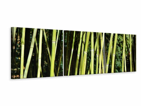 Ljuddämpande tavla - Fresh bamboo