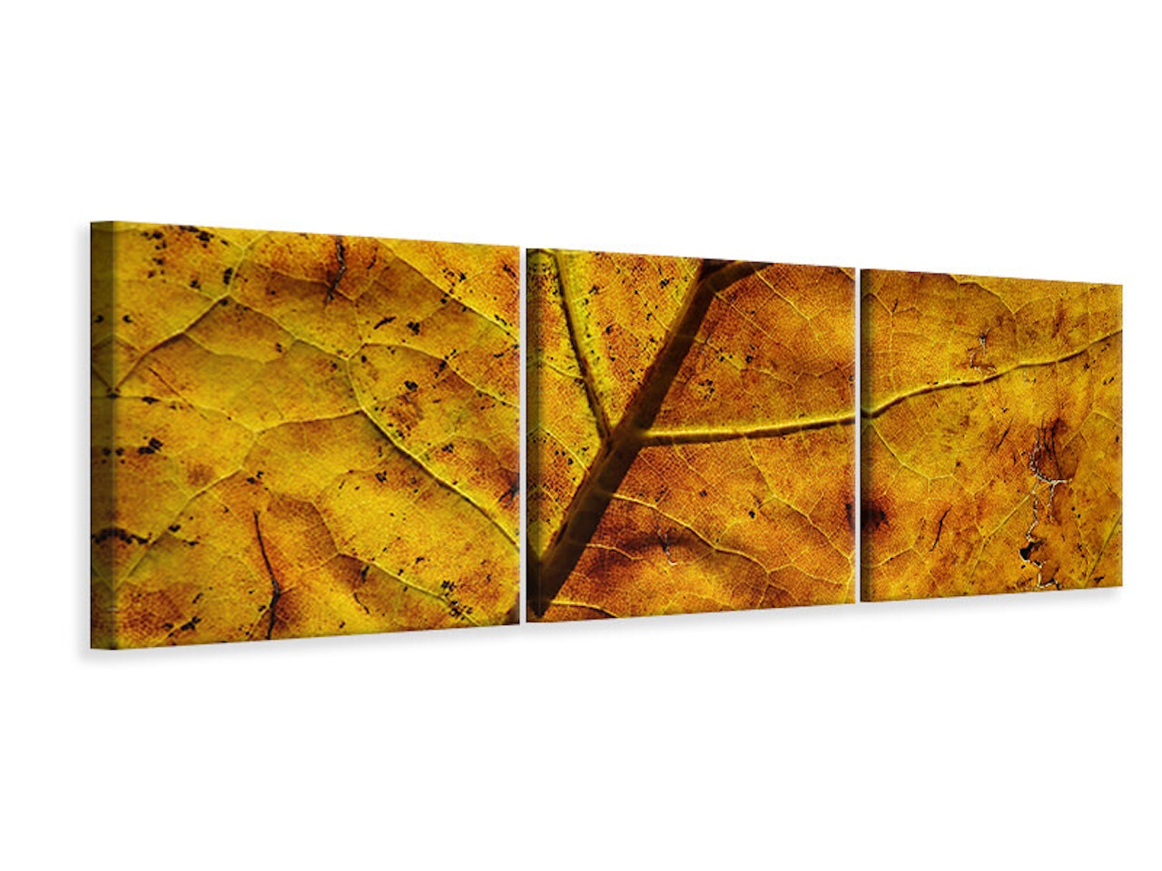 Ljuddämpande tavla - The autumn leaf