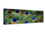 Ljuddämpande tavla - Peacock feathers XXL