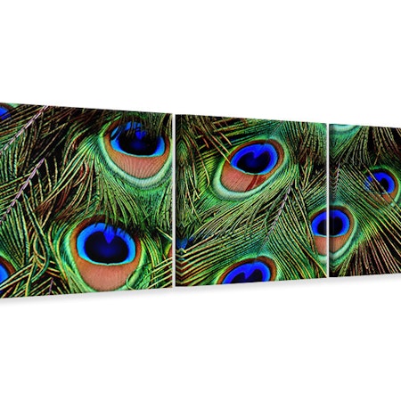 Ljuddämpande tavla - Peacock feathers XXL