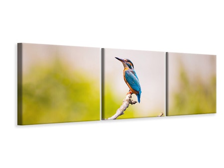Ljuddämpande tavla - The kingfisher