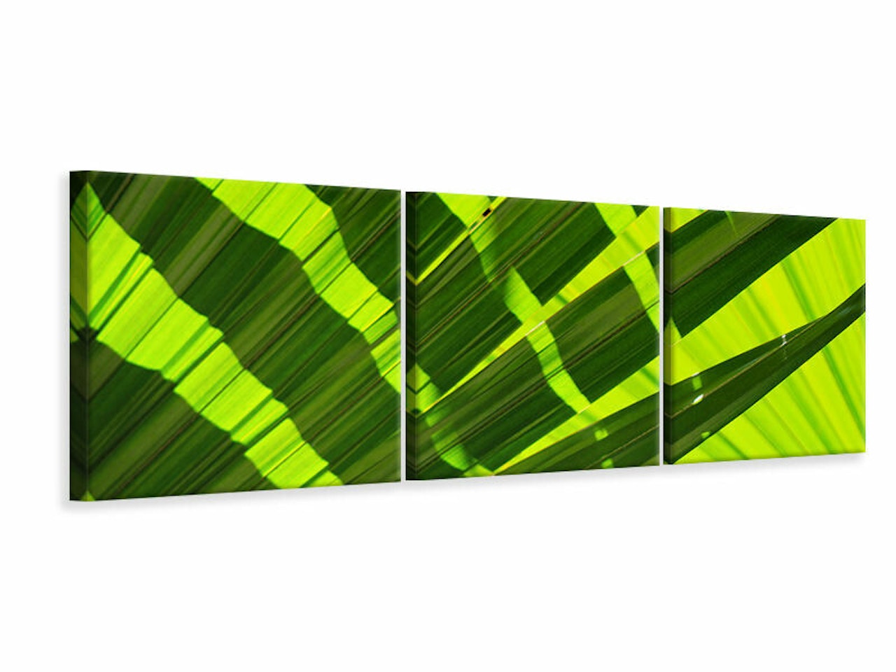 Ljuddämpande tavla - The palm leaf in XL
