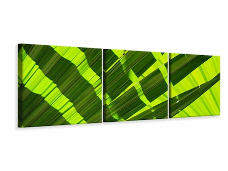 Ljuddämpande tavla - The palm leaf in XL