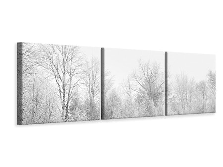 Ljuddämpande tavla - Birches in the snow