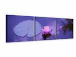 Ljuddämpande tavla - Lotus flower