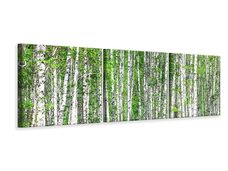 Ljuddämpande tavla - The Birch Forest