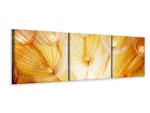 Ljuddämpande tavla - Close Up Dandelion In Light