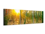 Ljuddämpande tavla - Bamboos