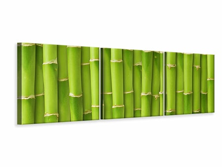 Ljuddämpande tavla - Bamboo Wall