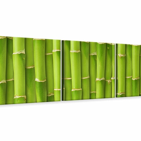 Ljuddämpande tavla - Bamboo Wall
